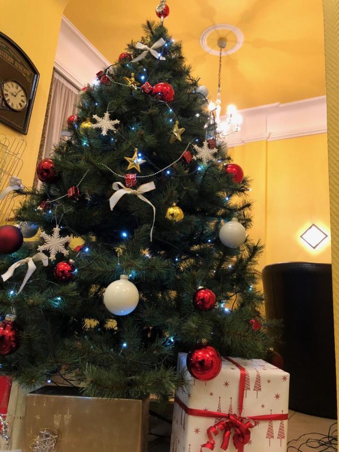 柏辽兹巴塞尔机场酒店 圣路易 外观 照片